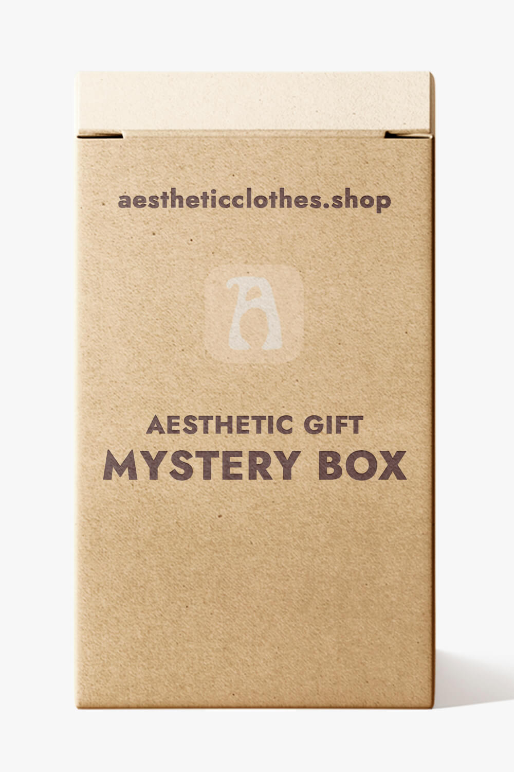 Aesthetic Gift Mystery Box - Aesthetic Clothes Shop Aesthetic Gift Mystery Box - Aesthetic Clothes Shop