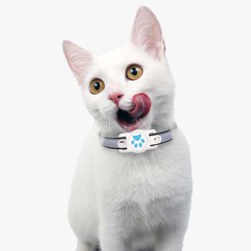 Cute Paw Airtag Pet Tracking Collar