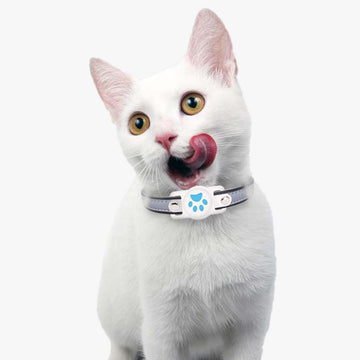 Cute Paw Airtag Pet Tracking Collar - Aesthetic Clothes Shop Cute Paw Airtag Pet Tracking Collar - Aesthetic Clothes Shop