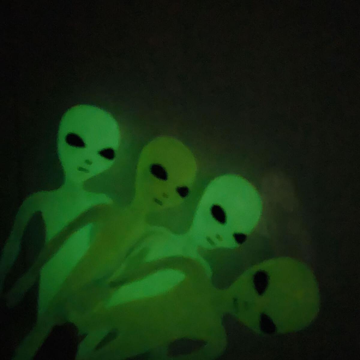 Glow in the Dark Alien Toy Keychain - Aesthetic Clothes Shop Glow in the Dark Alien Toy Keychain - Aesthetic Clothes Shop