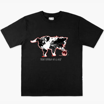 The World is a Cat T-Shirt  The World is a Cat T-Shirt