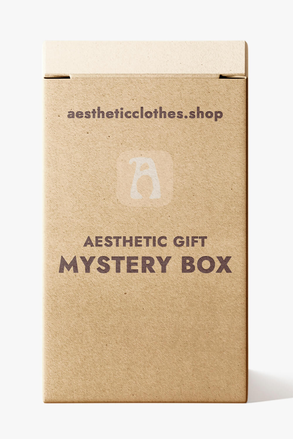 Aesthetic Gift Mystery Box - Aesthetic Clothes Shop